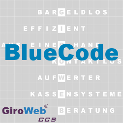 GiroWeb FAQ für Gemeinschaftsverpflegung (GV) & Catering: Was ist Blue-Code?